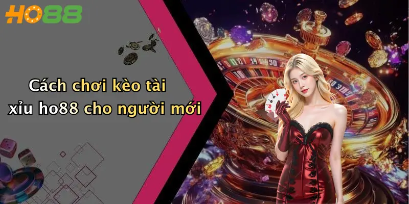 Cách chơi kèo tài xỉu ho88 cho người mới