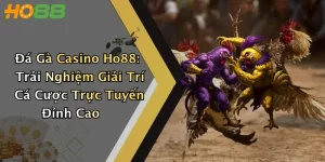 Đá Gà Casino Ho88: Trải Nghiệm Giải Trí Cá Cược Trực Tuyến Đỉnh Cao