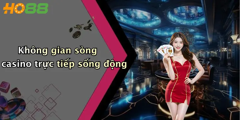 Không gian sòng casino trực tiếp sống động