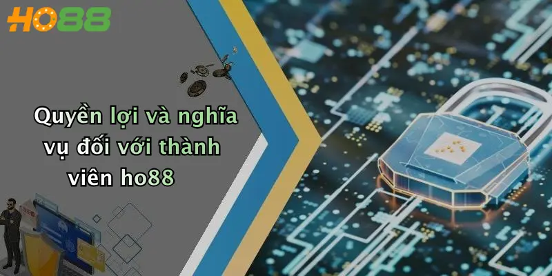 Quyền lợi và nghĩa vụ đối với thành viên ho88