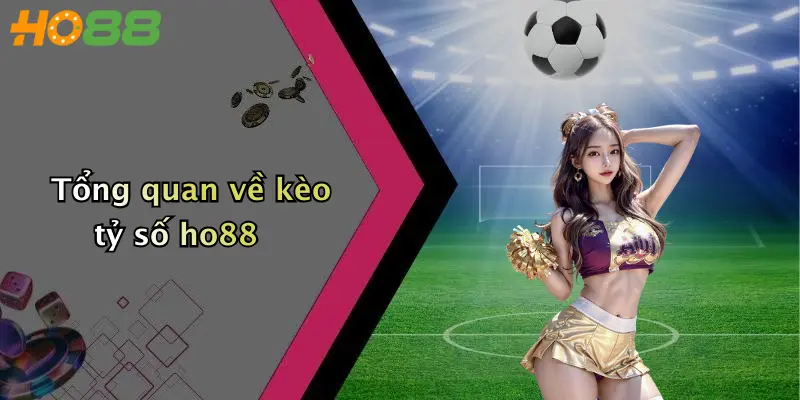 Tổng quan về kèo tỷ số ho88